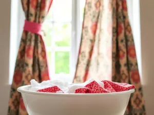 Jak pielęgnować aloes? Praktyczne porady dla każdego właściciela