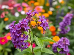 Jak uzyskać efekt mokrych włosów? Przewodnik po stylizacji